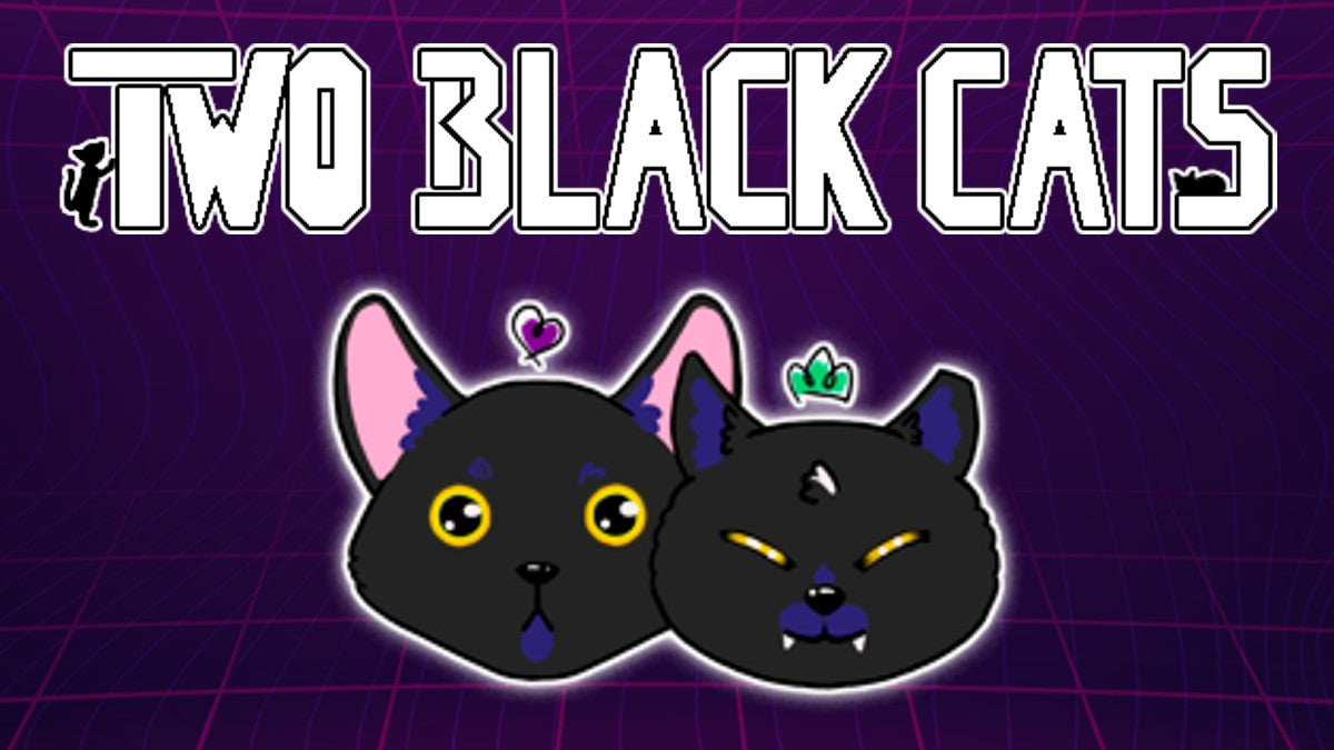 Two Black Cats — Real 16-bit games & retro hardware